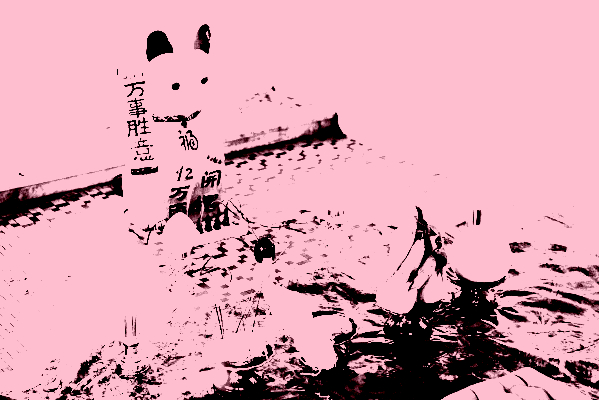 Paul_Litherland_Viva2023_PLB3140-scaled_posterize_800x400