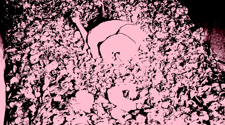 This image depicts numerous limbs and a pink underwear wearing torso emerging from a huge pile of crushed aluminum cans.
