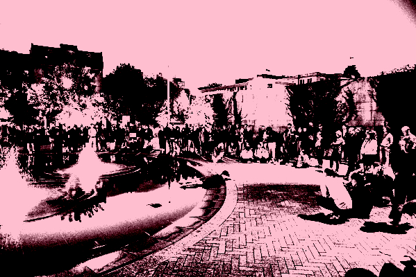Paul_Litherland_Viva2023_PLB1494-scaled_posterize_800x400