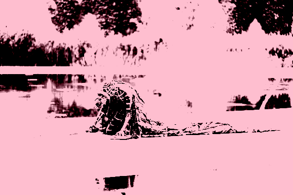 Paul_Litherland_Viva2023_PLB2516-scaled_posterize_800x400