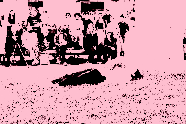 Paul_Litherland_Viva2023_PLB3158-scaled_posterize_800x400