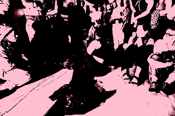 Paul_Litherland_Viva2023_PLB3497-scaled_posterize_800x400