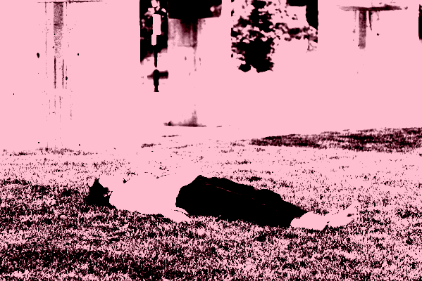 documentoriginal_paolamartinezfiterre-3-scaled_posterize_800x400
