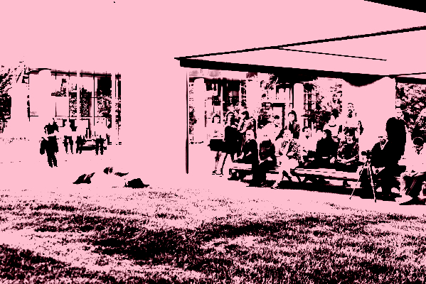 documentoriginal_paolamartinezfiterre-9-scaled_posterize_800x400