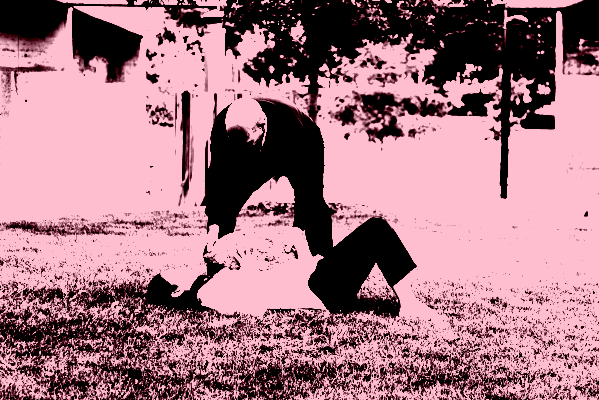 documentoriginal_paolamartinezfiterre-scaled_posterize_800x400