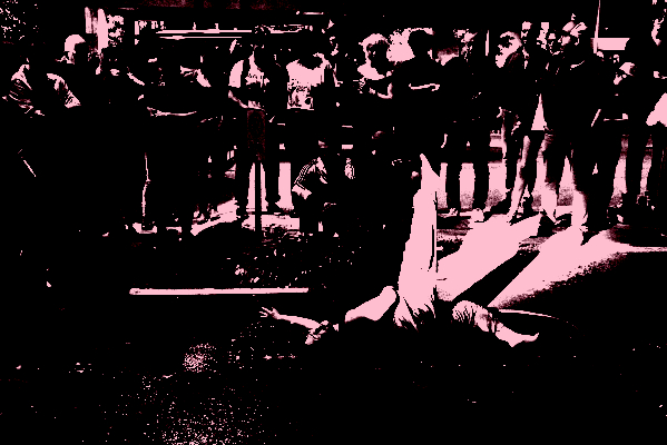 documentoriginal_rosedelariva-32-scaled_posterize_800x400