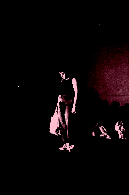 documentoriginal_rosedelariva-scaled_posterize_800x400